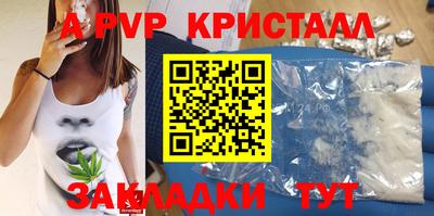 шишки Будённовск