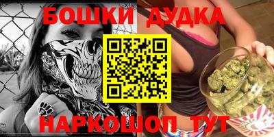 шишки Будённовск