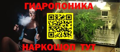 шишки Будённовск