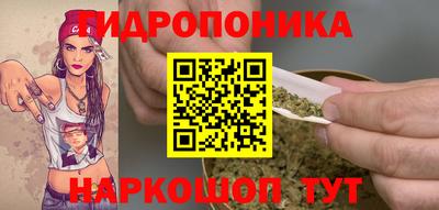 шишки Будённовск