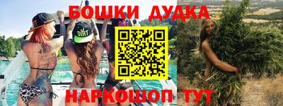 шишки Будённовск