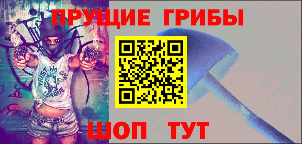 Псилоцибиновые грибы MAGIC MUSHROOMS Заинск