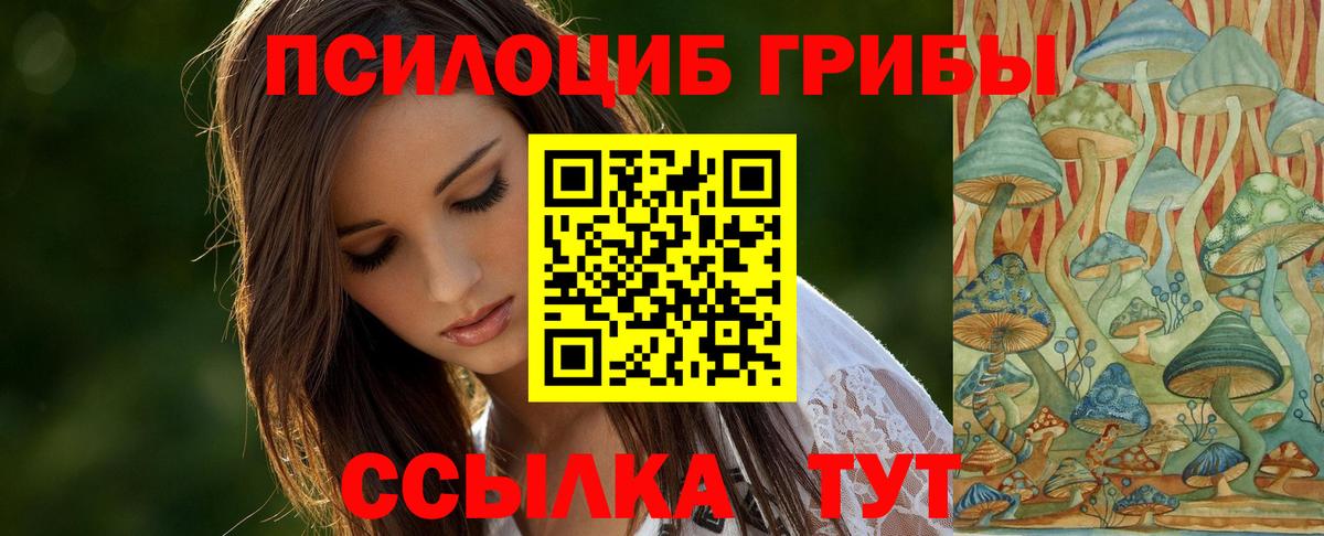 Псилоцибиновые грибы мухоморы  Вход с VPN  Заинск 